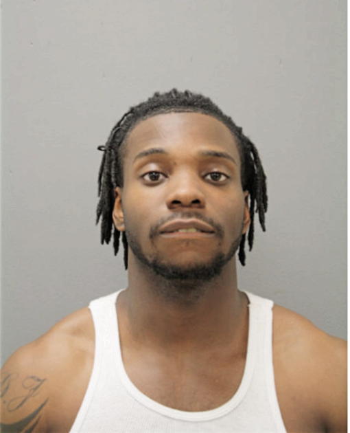 RYAN D JONES, Cook County, Illinois