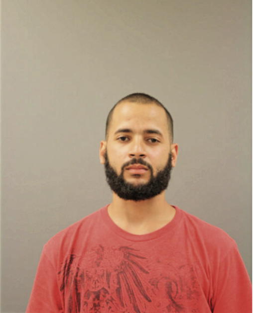 LUIS A LEBRON, Cook County, Illinois