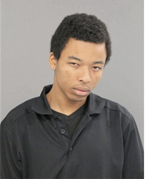 DEVONTE A LEWIS, Cook County, Illinois