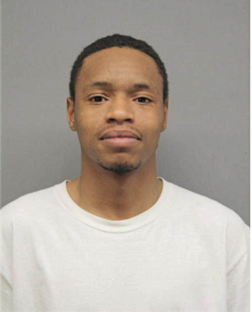 DOMINIC T LEWIS, Cook County, Illinois