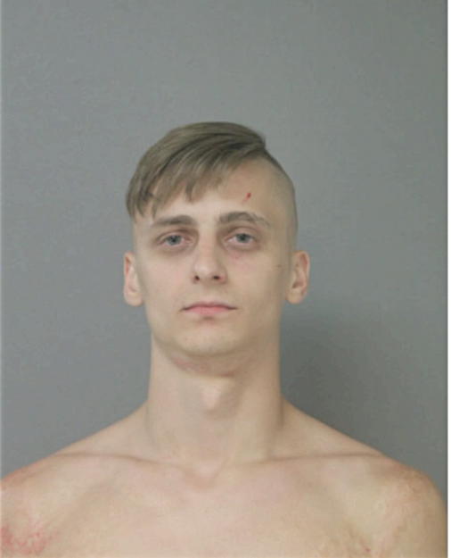 ANDRIY LEYBYUK, Cook County, Illinois