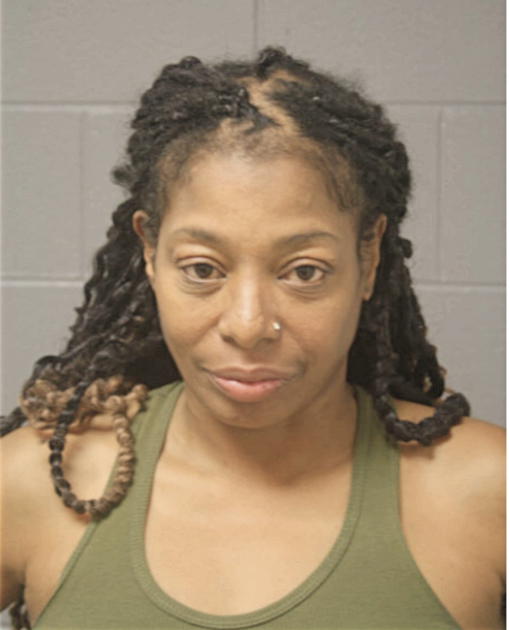 SHERRI J MCNEARY, Cook County, Illinois