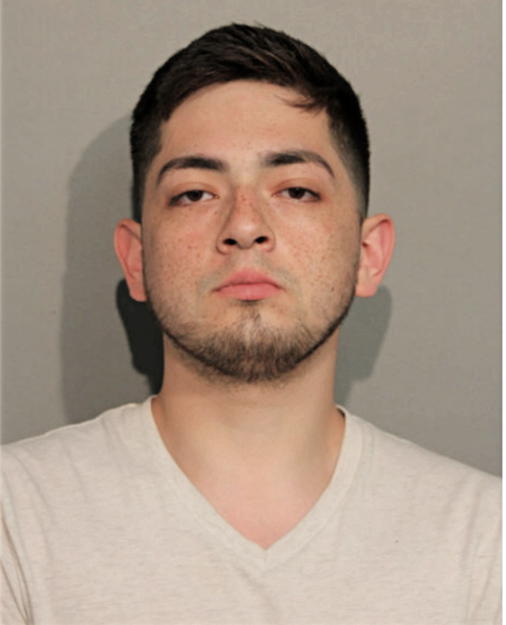 GABRIEL D MENDIOLA, Cook County, Illinois