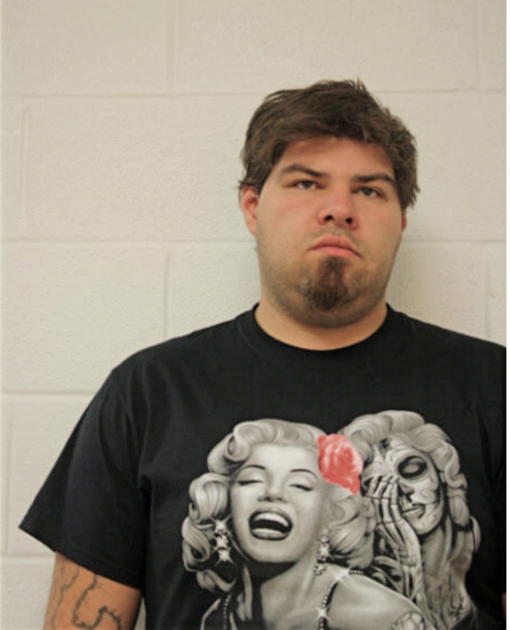 ANTHONY M PONTA, Cook County, Illinois