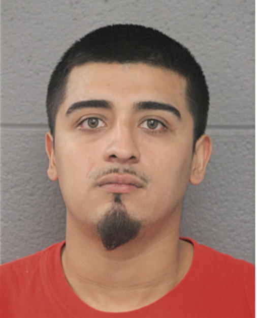 DAMIEN V ROMERO, Cook County, Illinois