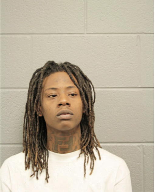 GREGORY L STEWART, Cook County, Illinois