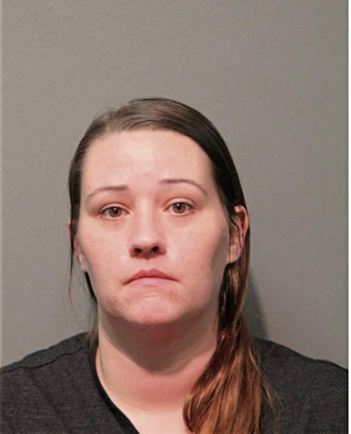 SHANNON L SWANSON, Cook County, Illinois