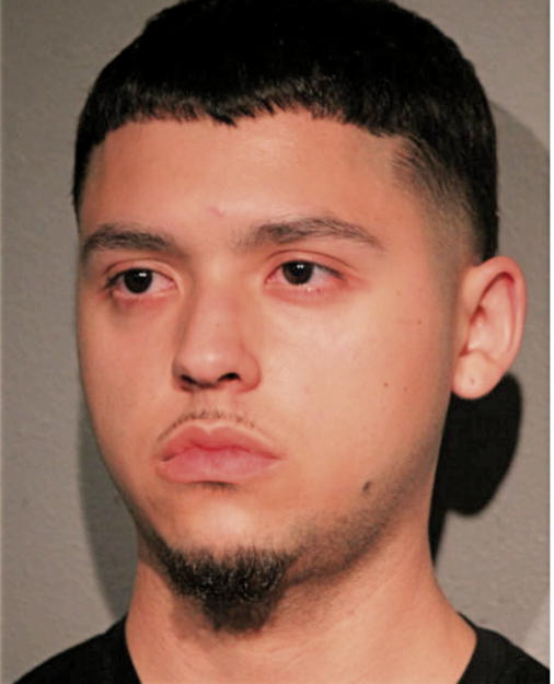 MICHAEL A VARGAS, Cook County, Illinois