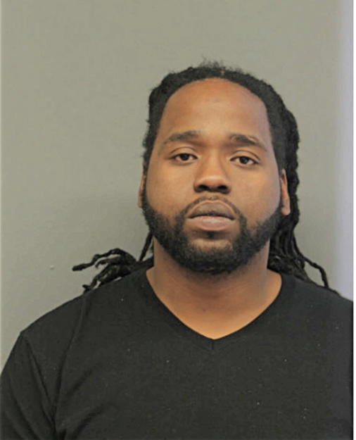 RYAN P WILLIAMS, Cook County, Illinois