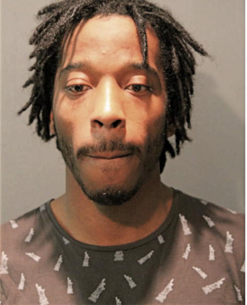 CHARLES L AMBROSE, Cook County, Illinois