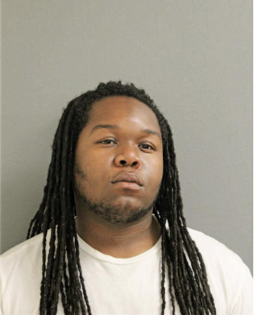 ANTHONY D ANDERSON, Cook County, Illinois