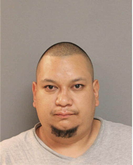 LUIS E AVALOS, Cook County, Illinois
