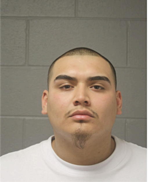 FRANKIE BAEZ, Cook County, Illinois