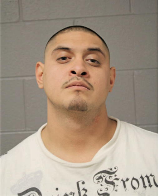 RICARDO BAHENA, Cook County, Illinois