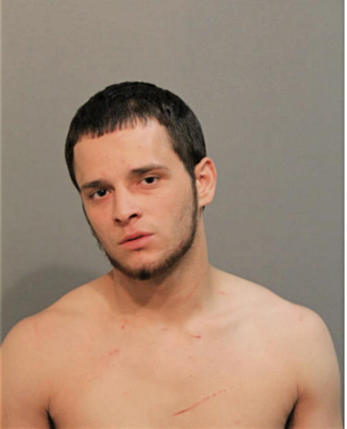 VICTOR R BANUELOS, Cook County, Illinois