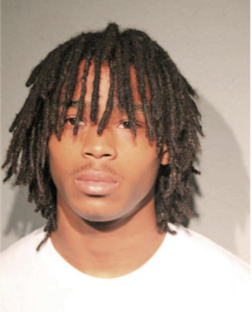 GREGORY S BROWN, Cook County, Illinois
