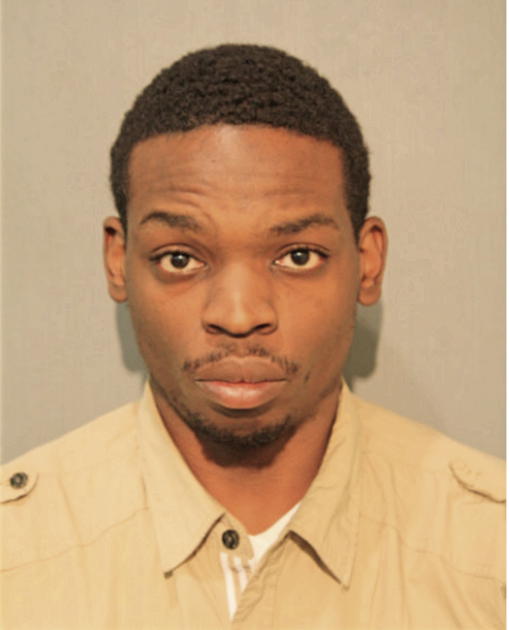 TERRANCE W CHISM, Cook County, Illinois