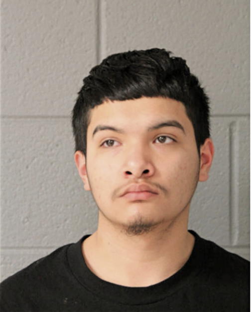 ERNESTO DELGADO, Cook County, Illinois