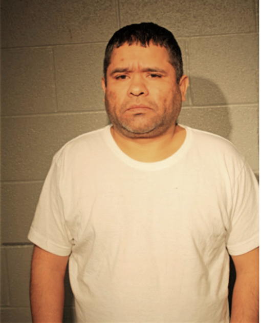 RENE P GARCIA, Cook County, Illinois