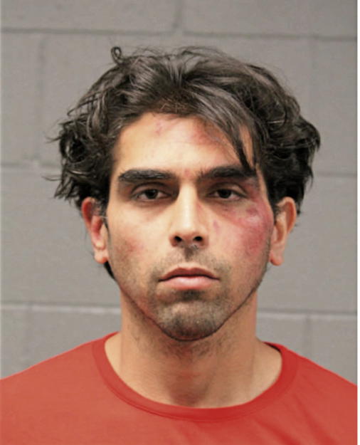 ANTHONY HANSAN, Cook County, Illinois