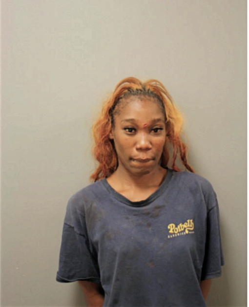 TARRA N JOHNSON, Cook County, Illinois