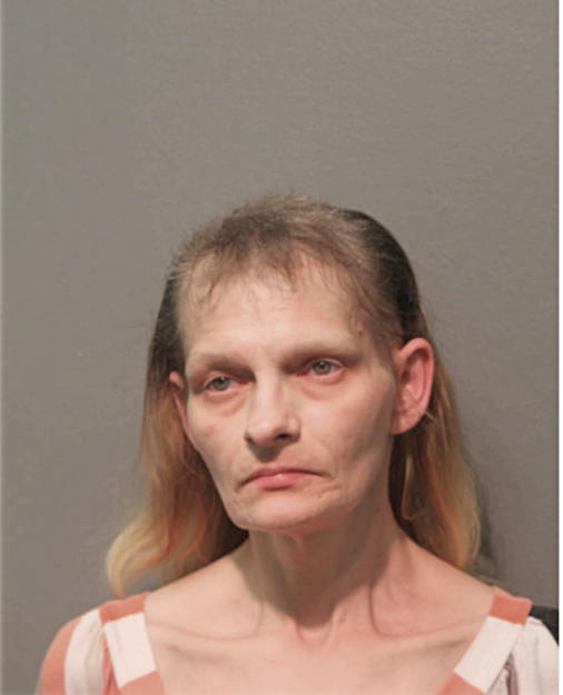 CYNTHIA M KOPP, Cook County, Illinois