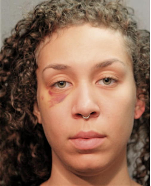 CAMISHA AMELIA MATTHEWS, Cook County, Illinois