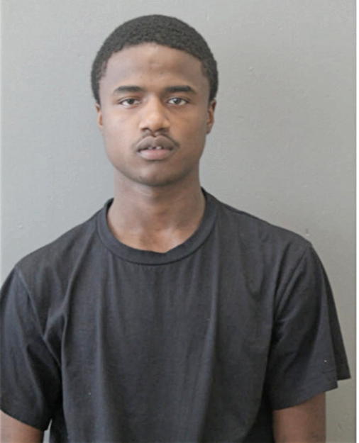DANIEL L MITCHELL, Cook County, Illinois