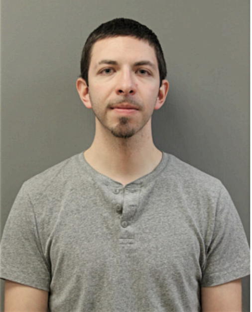 ARAMIS R NAJERA, Cook County, Illinois