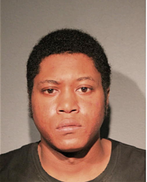 DIONTE L NORMAN, Cook County, Illinois