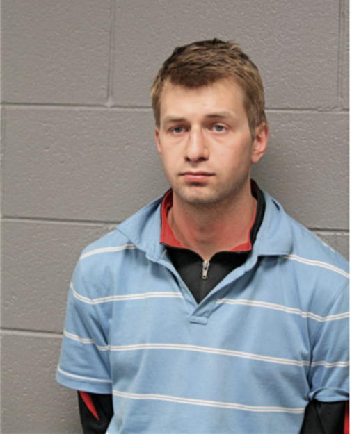 ILYA OGORODNIYCHUK, Cook County, Illinois