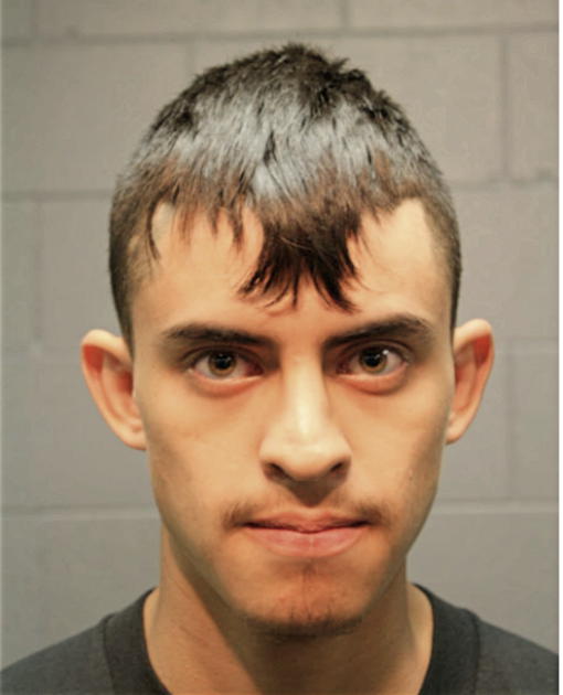 YOVANI PEREZ, Cook County, Illinois