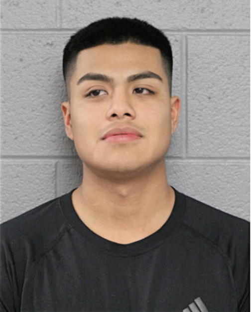 LEONARDO SANDOVAL, Cook County, Illinois