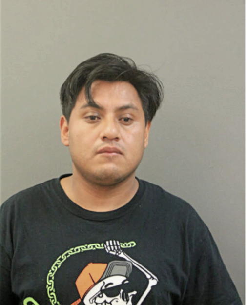 JUAN M SEGUNDO, Cook County, Illinois