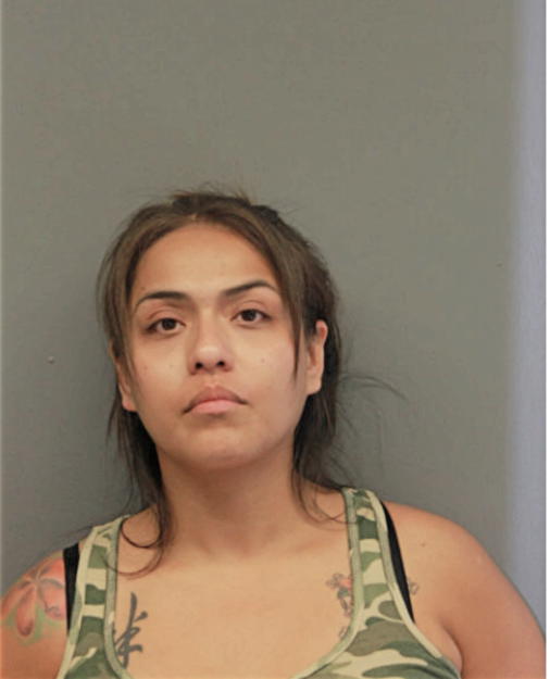 YASMINE C VILLAVAZO, Cook County, Illinois