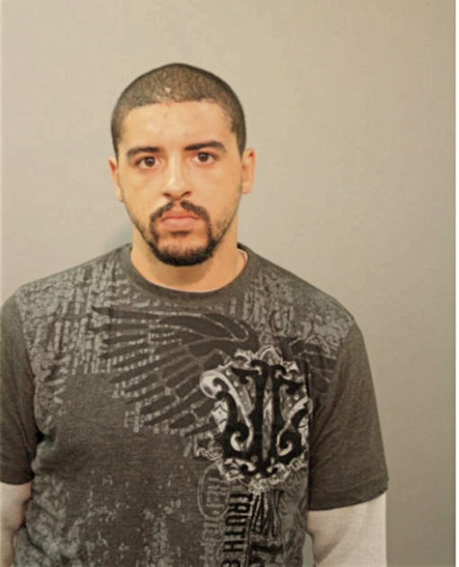BRANDON R WOLF, Cook County, Illinois