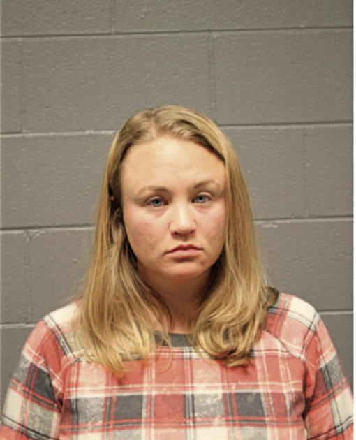 ANDREA ZIMMERMAN, Cook County, Illinois