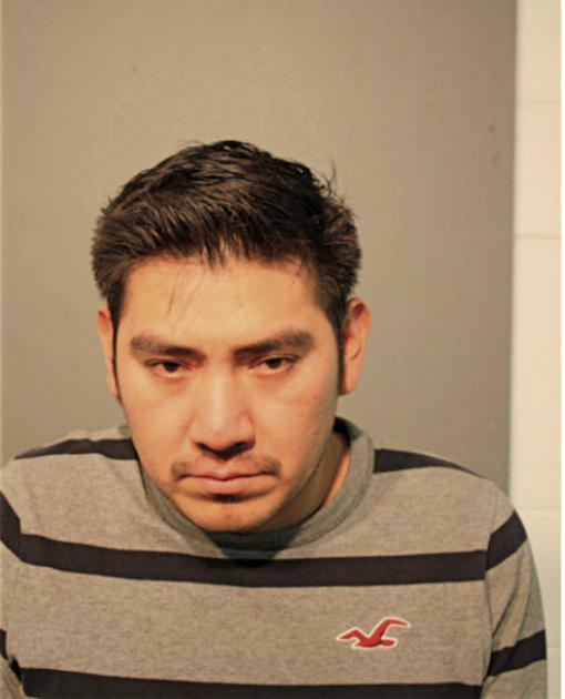 LUIS A ARREAGA, Cook County, Illinois