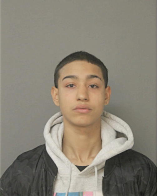 ANA M ARREOLA, Cook County, Illinois