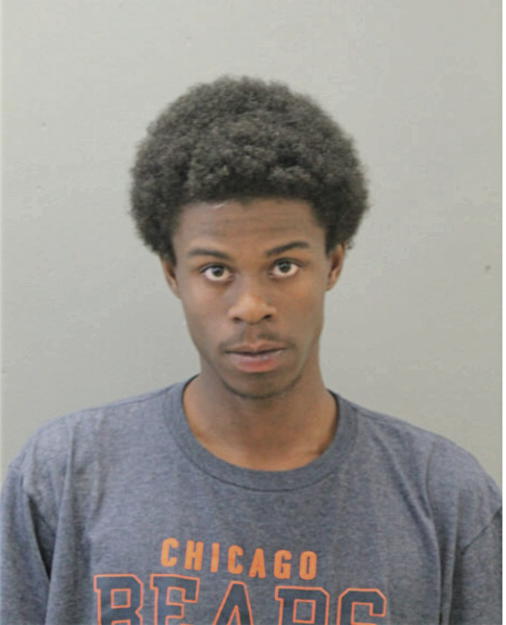 VINCENT BERRY-PYATT, Cook County, Illinois
