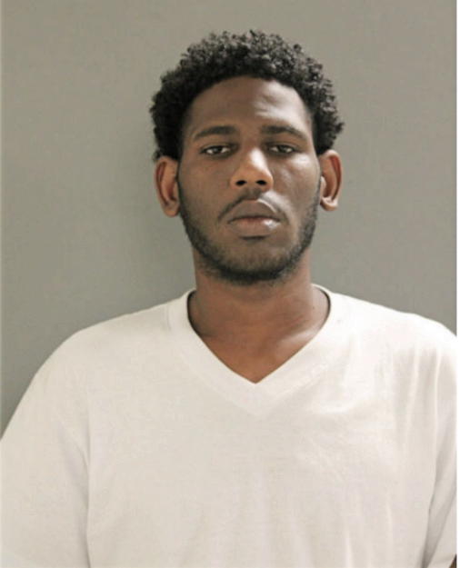 TONY JAMES BRIDGES, Cook County, Illinois