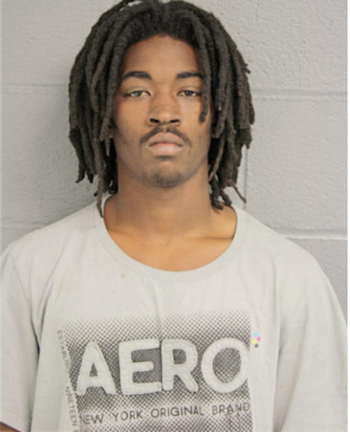 ANDREW L BURNS, Cook County, Illinois