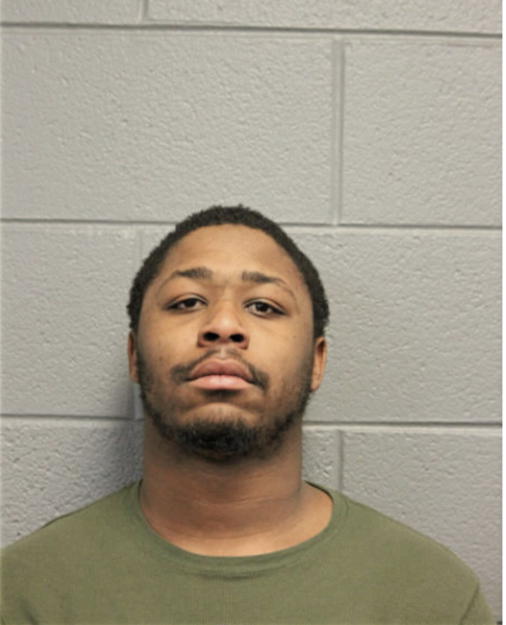 DAVID J DAVIS JR, Cook County, Illinois