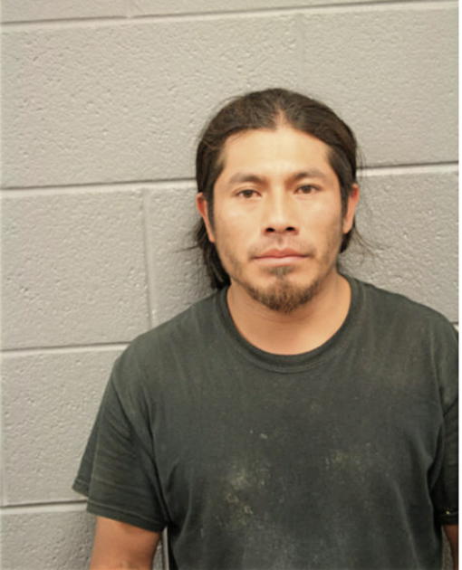 EULALIO DIEGO-CORONEL, Cook County, Illinois