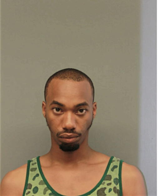 DAVID A DILLWORTH, Cook County, Illinois