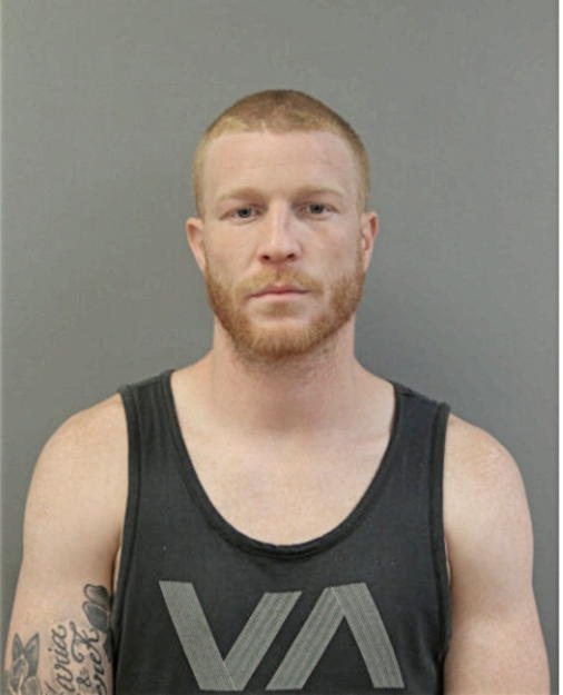 DEREK M DREY, Cook County, Illinois