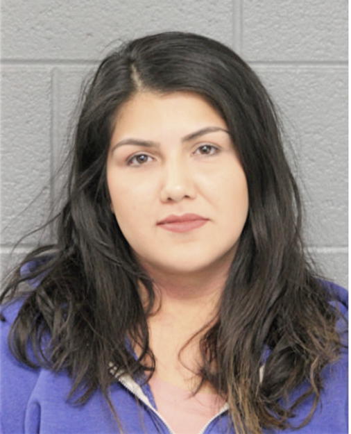 AMANDA M FAVELA, Cook County, Illinois