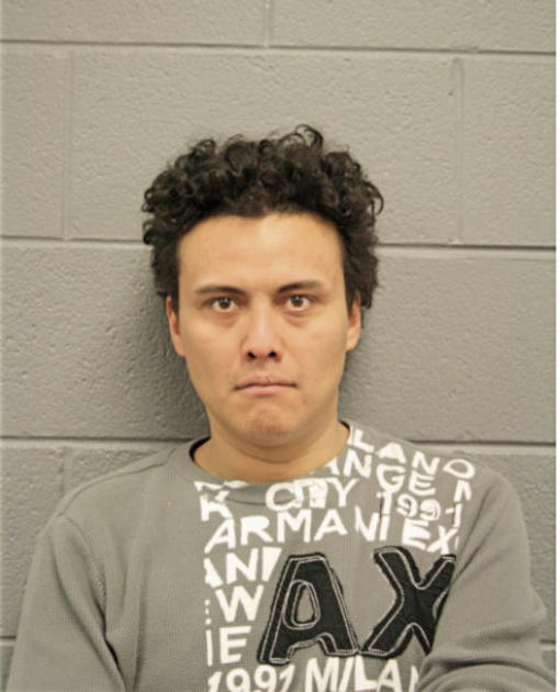 DAVID A GALINDO, Cook County, Illinois