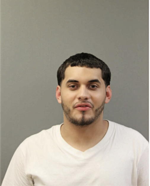 DOMINGO M GONZALEZ, Cook County, Illinois