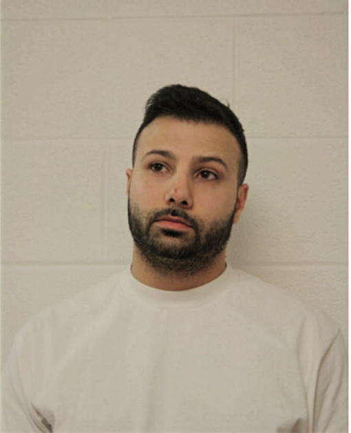 MAURICE M HELEWA, Cook County, Illinois